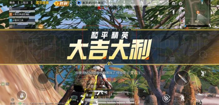 和平精英外免费挂下载 - 实用透视工具限时开放